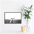 Picture of Field Sheep  _GroupedProduct_Rectangle_Landscape_Photography _GroupedProduct_Rectangle_Landscape_Canvas_Framed_