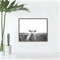 Picture of Field Sheep  _GroupedProduct_Rectangle_Landscape_Photography _GroupedProduct_Rectangle_Landscape_Canvas_Framed_