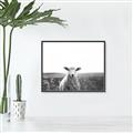 Picture of Field Sheep  _GroupedProduct_Rectangle_Landscape_Photography _GroupedProduct_Rectangle_Landscape_Canvas_Framed_