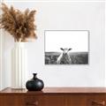 Picture of Field Sheep  _GroupedProduct_Rectangle_Landscape_Photography _GroupedProduct_Rectangle_Landscape_Canvas_Framed_