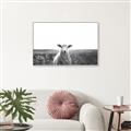 Picture of Field Sheep  _GroupedProduct_Rectangle_Landscape_Photography _GroupedProduct_Rectangle_Landscape_Canvas_Framed_