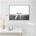Picture of Field Sheep  _GroupedProduct_Rectangle_Landscape_Photography _GroupedProduct_Rectangle_Landscape_Canvas_Framed_