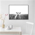 Picture of Field Sheep  _GroupedProduct_Rectangle_Landscape_Photography _GroupedProduct_Rectangle_Landscape_Canvas_Framed_