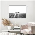 Picture of Field Sheep  _GroupedProduct_Rectangle_Landscape_Photography _GroupedProduct_Rectangle_Landscape_Canvas_Framed_