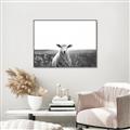 Picture of Field Sheep  _GroupedProduct_Rectangle_Landscape_Photography _GroupedProduct_Rectangle_Landscape_Canvas_Framed_
