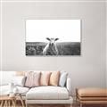 Picture of Field Sheep  _GroupedProduct_Rectangle_Landscape_Photography _GroupedProduct_Rectangle_Landscape_Canvas_Framed_
