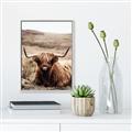 Picture of Furry Brown Cow _GroupedProduct_Rectangle_Portrait_Photography _GroupedProduct_Rectangle_Portrait_Canvas_Framed_