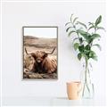 Picture of Furry Brown Cow _GroupedProduct_Rectangle_Portrait_Photography _GroupedProduct_Rectangle_Portrait_Canvas_Framed_