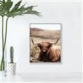 Picture of Furry Brown Cow _GroupedProduct_Rectangle_Portrait_Photography _GroupedProduct_Rectangle_Portrait_Canvas_Framed_