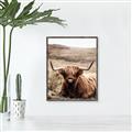 Picture of Furry Brown Cow _GroupedProduct_Rectangle_Portrait_Photography _GroupedProduct_Rectangle_Portrait_Canvas_Framed_