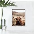 Picture of Furry Brown Cow _GroupedProduct_Rectangle_Portrait_Photography _GroupedProduct_Rectangle_Portrait_Canvas_Framed_