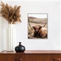 Picture of Furry Brown Cow _GroupedProduct_Rectangle_Portrait_Photography _GroupedProduct_Rectangle_Portrait_Canvas_Framed_
