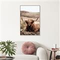 Picture of Furry Brown Cow _GroupedProduct_Rectangle_Portrait_Photography _GroupedProduct_Rectangle_Portrait_Canvas_Framed_