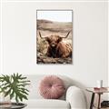Picture of Furry Brown Cow _GroupedProduct_Rectangle_Portrait_Photography _GroupedProduct_Rectangle_Portrait_Canvas_Framed_