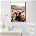 Picture of Furry Brown Cow _GroupedProduct_Rectangle_Portrait_Photography _GroupedProduct_Rectangle_Portrait_Canvas_Framed_