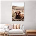 Picture of Furry Brown Cow _GroupedProduct_Rectangle_Portrait_Photography _GroupedProduct_Rectangle_Portrait_Canvas_Framed_