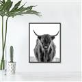 Picture of B&W Highland _GroupedProduct_Rectangle_Portrait_Photography _GroupedProduct_Rectangle_Portrait_Canvas_Framed_