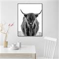 Picture of B&W Highland _GroupedProduct_Rectangle_Portrait_Photography _GroupedProduct_Rectangle_Portrait_Canvas_Framed_