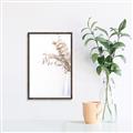 Picture of Nautral Eucalyptus  _GroupedProduct_Rectangle_Portrait_Photography _GroupedProduct_Rectangle_Portrait_Canvas_Framed_