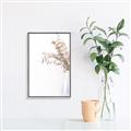 Picture of Nautral Eucalyptus  _GroupedProduct_Rectangle_Portrait_Photography _GroupedProduct_Rectangle_Portrait_Canvas_Framed_