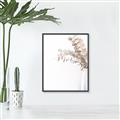 Picture of Nautral Eucalyptus  _GroupedProduct_Rectangle_Portrait_Photography _GroupedProduct_Rectangle_Portrait_Canvas_Framed_