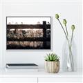 Picture of Farm Fence _GroupedProduct_Rectangle_Landscape_Photography _GroupedProduct_Rectangle_Landscape_Canvas_Framed_