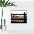 Picture of Farm Fence _GroupedProduct_Rectangle_Landscape_Photography _GroupedProduct_Rectangle_Landscape_Canvas_Framed_