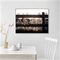 Picture of Farm Fence _GroupedProduct_Rectangle_Landscape_Photography _GroupedProduct_Rectangle_Landscape_Canvas_Framed_