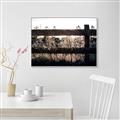 Picture of Farm Fence _GroupedProduct_Rectangle_Landscape_Photography _GroupedProduct_Rectangle_Landscape_Canvas_Framed_