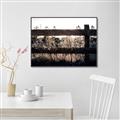 Picture of Farm Fence _GroupedProduct_Rectangle_Landscape_Photography _GroupedProduct_Rectangle_Landscape_Canvas_Framed_