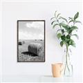 Picture of Hay Bail _GroupedProduct_Rectangle_Portrait_Photography _GroupedProduct_Rectangle_Portrait_Canvas_Framed_