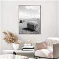 Picture of Hay Bail _GroupedProduct_Rectangle_Portrait_Photography _GroupedProduct_Rectangle_Portrait_Canvas_Framed_