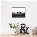 Picture of Cow Field  _GroupedProduct_Rectangle_Landscape_Photography _GroupedProduct_Rectangle_Landscape_Canvas_Framed_