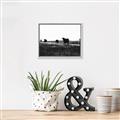 Picture of Cow Field  _GroupedProduct_Rectangle_Landscape_Photography _GroupedProduct_Rectangle_Landscape_Canvas_Framed_