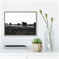 Picture of Cow Field  _GroupedProduct_Rectangle_Landscape_Photography _GroupedProduct_Rectangle_Landscape_Canvas_Framed_
