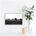 Picture of Cow Field  _GroupedProduct_Rectangle_Landscape_Photography _GroupedProduct_Rectangle_Landscape_Canvas_Framed_