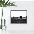 Picture of Cow Field  _GroupedProduct_Rectangle_Landscape_Photography _GroupedProduct_Rectangle_Landscape_Canvas_Framed_