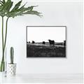 Picture of Cow Field  _GroupedProduct_Rectangle_Landscape_Photography _GroupedProduct_Rectangle_Landscape_Canvas_Framed_