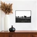 Picture of Cow Field  _GroupedProduct_Rectangle_Landscape_Photography _GroupedProduct_Rectangle_Landscape_Canvas_Framed_