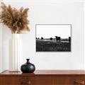 Picture of Cow Field  _GroupedProduct_Rectangle_Landscape_Photography _GroupedProduct_Rectangle_Landscape_Canvas_Framed_