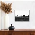Picture of Cow Field  _GroupedProduct_Rectangle_Landscape_Photography _GroupedProduct_Rectangle_Landscape_Canvas_Framed_