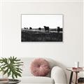 Picture of Cow Field  _GroupedProduct_Rectangle_Landscape_Photography _GroupedProduct_Rectangle_Landscape_Canvas_Framed_