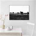 Picture of Cow Field  _GroupedProduct_Rectangle_Landscape_Photography _GroupedProduct_Rectangle_Landscape_Canvas_Framed_