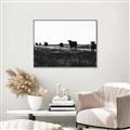 Picture of Cow Field  _GroupedProduct_Rectangle_Landscape_Photography _GroupedProduct_Rectangle_Landscape_Canvas_Framed_