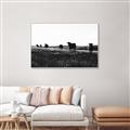 Picture of Cow Field  _GroupedProduct_Rectangle_Landscape_Photography _GroupedProduct_Rectangle_Landscape_Canvas_Framed_