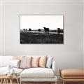Picture of Cow Field  _GroupedProduct_Rectangle_Landscape_Photography _GroupedProduct_Rectangle_Landscape_Canvas_Framed_