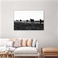 Picture of Cow Field  _GroupedProduct_Rectangle_Landscape_Photography _GroupedProduct_Rectangle_Landscape_Canvas_Framed_