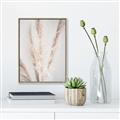 Picture of Whispy Pampas _GroupedProduct_Rectangle_Portrait_Photography _GroupedProduct_Rectangle_Portrait_Canvas_Framed_