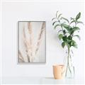Picture of Whispy Pampas _GroupedProduct_Rectangle_Portrait_Photography _GroupedProduct_Rectangle_Portrait_Canvas_Framed_
