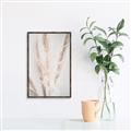 Picture of Whispy Pampas _GroupedProduct_Rectangle_Portrait_Photography _GroupedProduct_Rectangle_Portrait_Canvas_Framed_